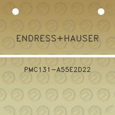 endresshauser-pmc131-a55e2d22