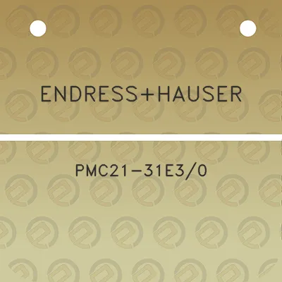 endresshauser-pmc21-31e30