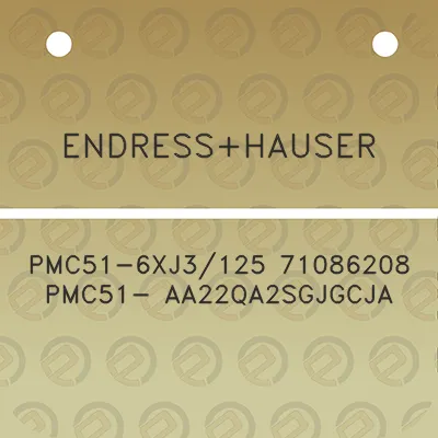 endresshauser-pmc51-6xj3125-71086208-pmc51-aa22qa2sgjgcja