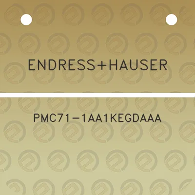 endresshauser-pmc71-1aa1kegdaaa