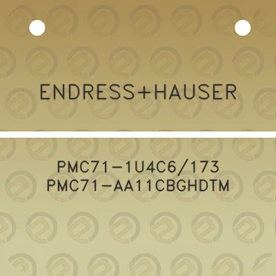 endresshauser-pmc71-1u4c6173-pmc71-aa11cbghdtm