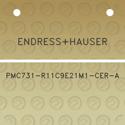 endresshauser-pmc731-r11c9e21m1-cer-a