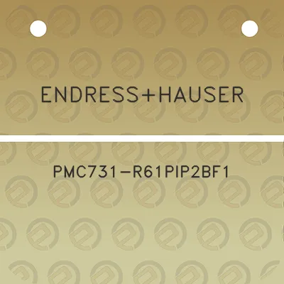 endresshauser-pmc731-r61pip2bf1