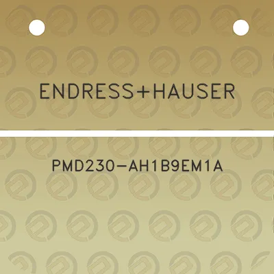 endresshauser-pmd230-ah1b9em1a