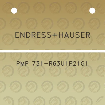 endresshauser-pmp-731-r63u1p21g1