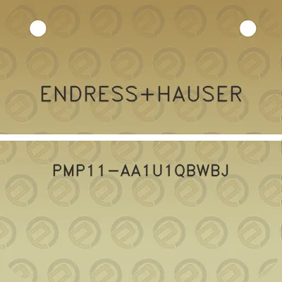 endresshauser-pmp11-aa1u1qbwbj