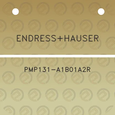 endresshauser-pmp131-a1b01a2r