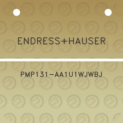 endresshauser-pmp131-aa1u1wjwbj