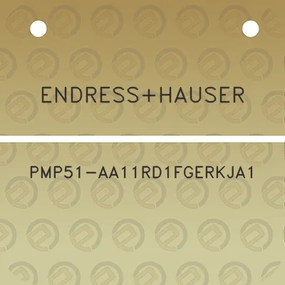 endresshauser-pmp51-aa11rd1fgerkja1