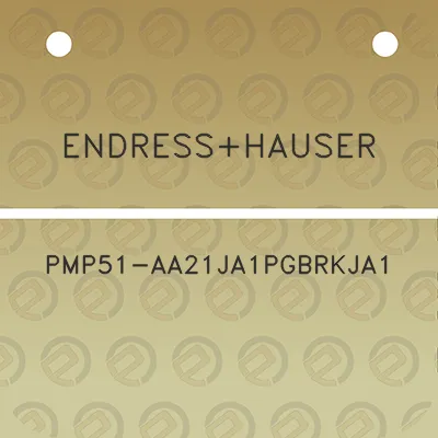 endresshauser-pmp51-aa21ja1pgbrkja1