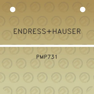 endresshauser-pmp731