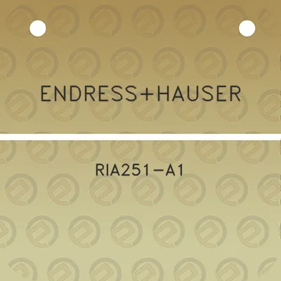 endresshauser-ria251-a1