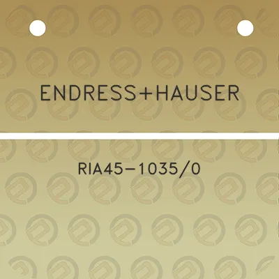 endresshauser-ria45-10350