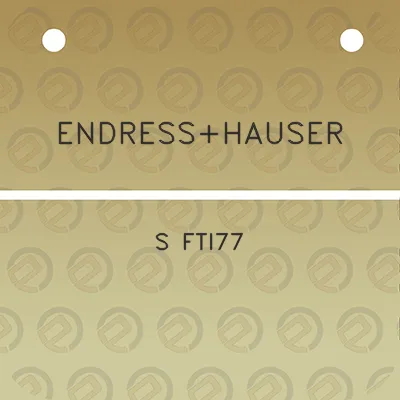 endresshauser-s-fti77