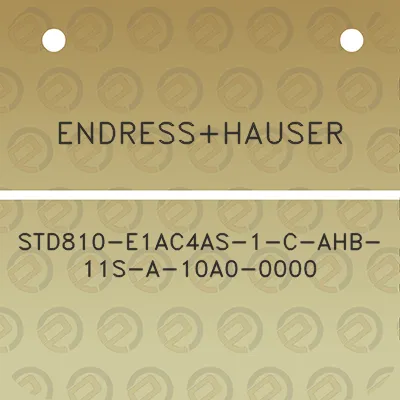 endresshauser-std810-e1ac4as-1-c-ahb-11s-a-10a0-0000