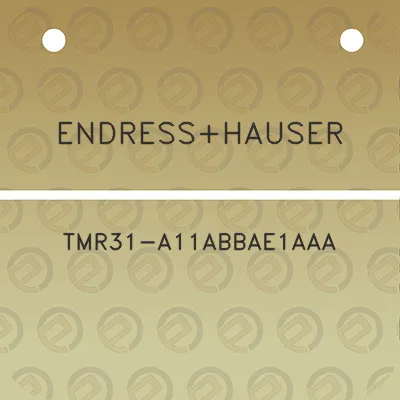 endresshauser-tmr31-a11abbae1aaa