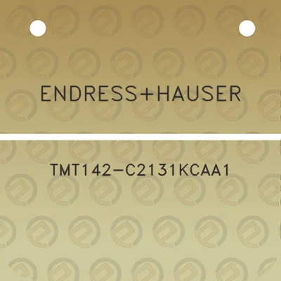 endresshauser-tmt142-c2131kcaa1