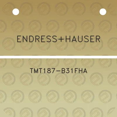 endresshauser-tmt187-b31fha