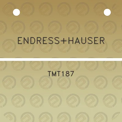 endresshauser-tmt187