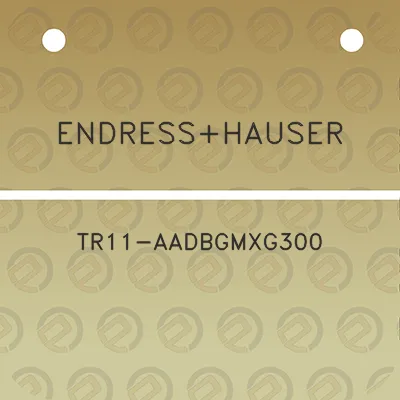 endresshauser-tr11-aadbgmxg300