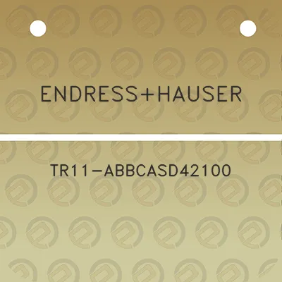 endresshauser-tr11-abbcasd42100