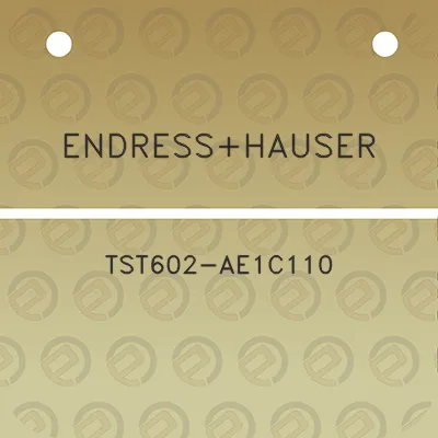 endresshauser-tst602-ae1c110