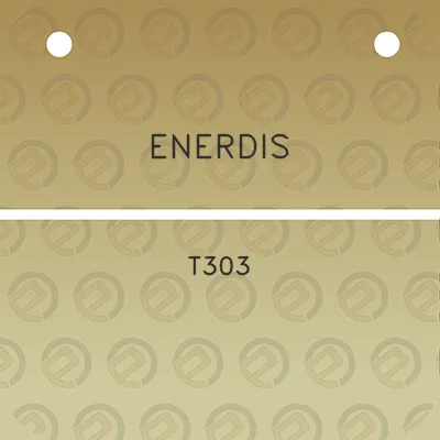 enerdis-t303