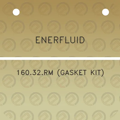 enerfluid-16032rm-gasket-kit