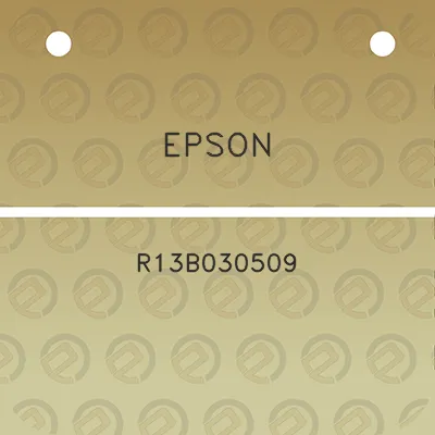 epson-r13b030509