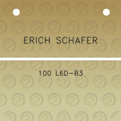 erich-schafer-100-l6d-b3