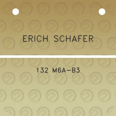 erich-schafer-132-m6a-b3