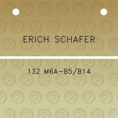 erich-schafer-132-m6a-b5b14