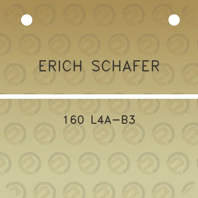 erich-schafer-160-l4a-b3