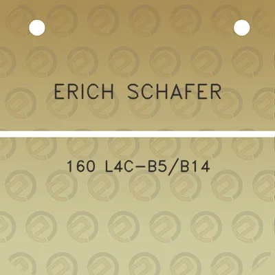 erich-schafer-160-l4c-b5b14