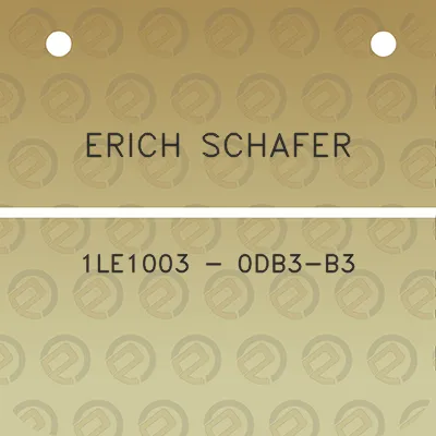 erich-schafer-1le1003-0db3-b3