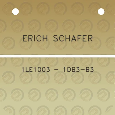 erich-schafer-1le1003-1db3-b3