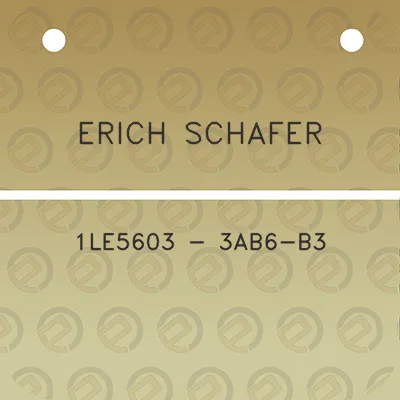 erich-schafer-1le5603-3ab6-b3