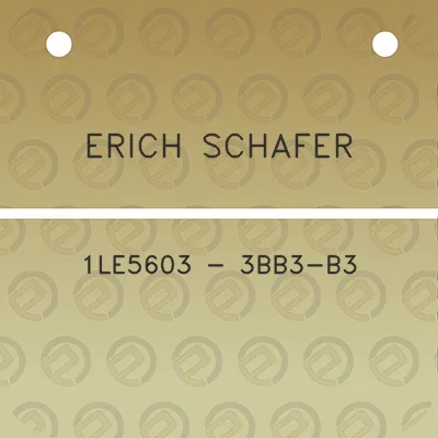 erich-schafer-1le5603-3bb3-b3