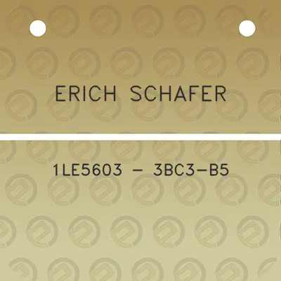 erich-schafer-1le5603-3bc3-b5