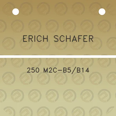 erich-schafer-250-m2c-b5b14