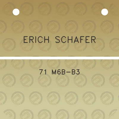 erich-schafer-71-m6b-b3