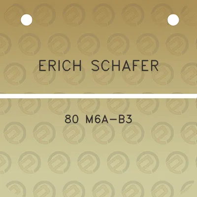 erich-schafer-80-m6a-b3