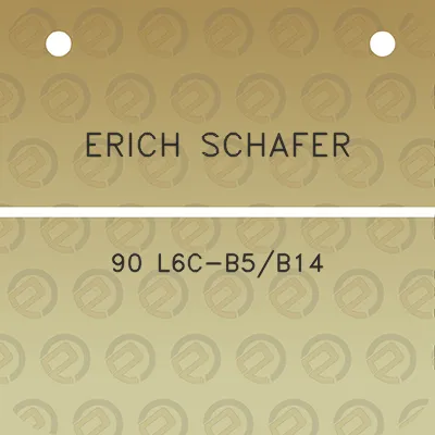 erich-schafer-90-l6c-b5b14