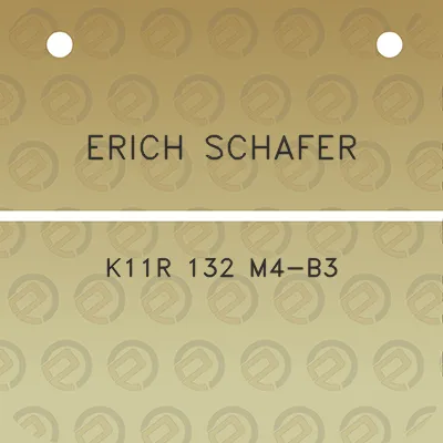 erich-schafer-k11r-132-m4-b3