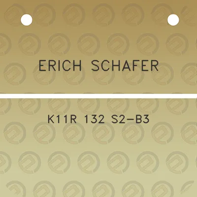 erich-schafer-k11r-132-s2-b3