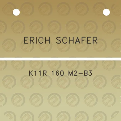 erich-schafer-k11r-160-m2-b3