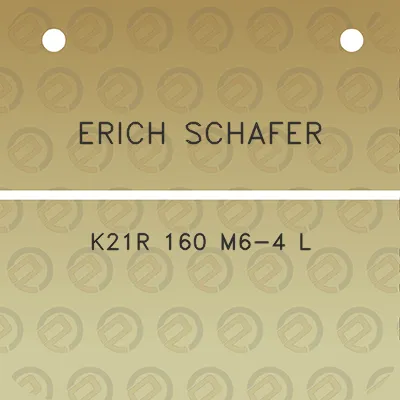 erich-schafer-k21r-160-m6-4-l