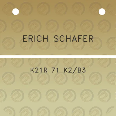 erich-schafer-k21r-71-k2b3