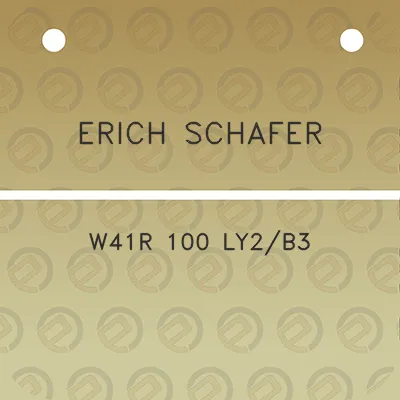 erich-schafer-w41r-100-ly2b3