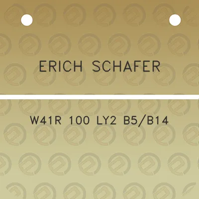 erich-schafer-w41r-100-ly2-b5b14